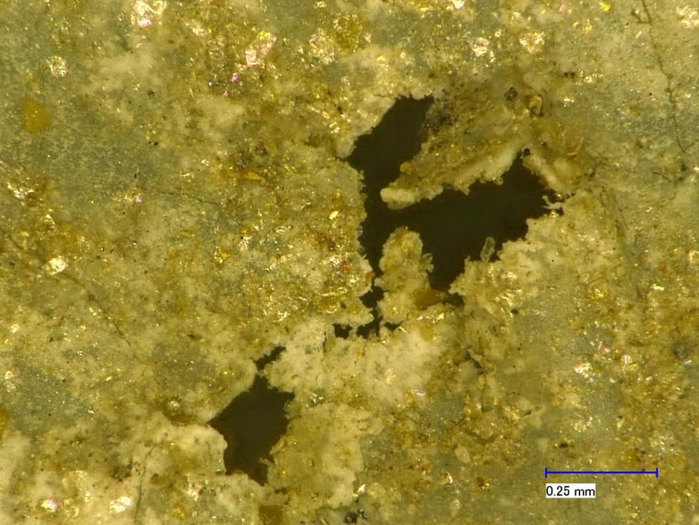 Funghi e batteri hanno bucato la pellicola compostabile, immagine al microscopio (ingrandimento 200x). Foto: Joel Rüthi